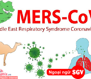 MERS-CoV là gì, ngoại ngữ SGV