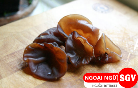 Mộc nhĩ tiếng Anh là gì, SGV