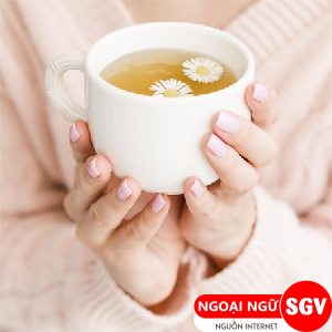Mời uống trà bằng tiếng Nhật, ngoại ngữ SGV