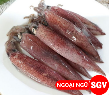 sgv, mực trứng tiếng Anh là gì