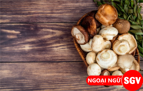 SGV, Nấm bào ngư tiếng Anh là gì