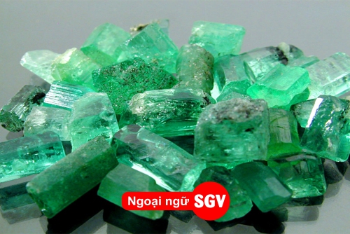 Ngọc lục bảo tiếng Nhật là gì, sgv