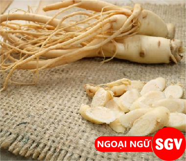 SGV, nhân sâm ở Hàn Quốc có mấy loại