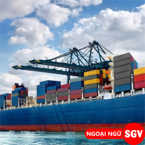 nhập khẩu tiếng Anh là gì, sgv