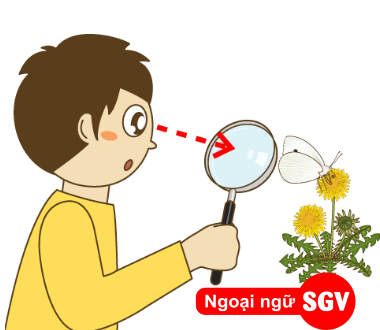 SGV, nhìn chằm chằm tiếng Nhật là gì