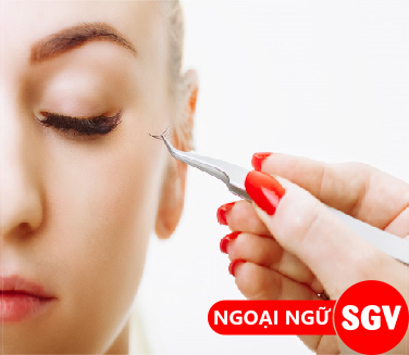 SGV, Nối mi tiếng Anh là gì