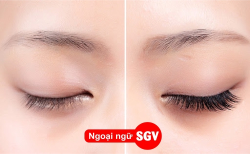 Nối mi tiếng Nhật là gì, sgv