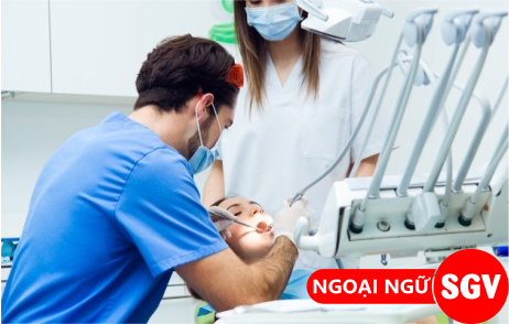 sgv, Nội soi tai mũi họng tiếng Anh là gì