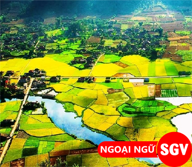 Nông thôn tiếng Hàn là gì, sgv