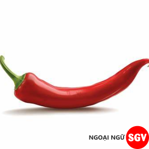 sgv, ớt hiểm tiếng Anh là gì