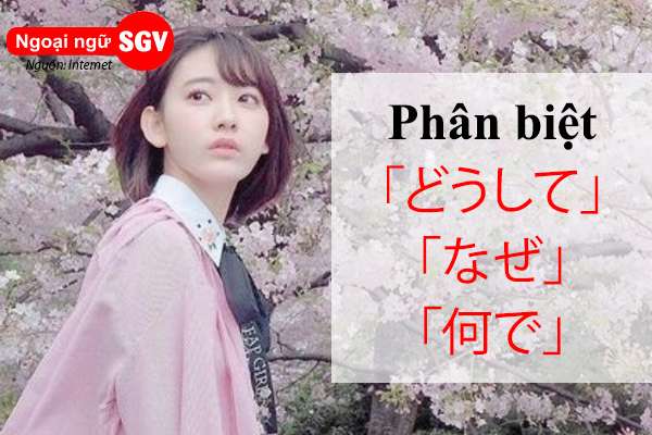 Phân biệt「どうして」「なぜ」「何で」