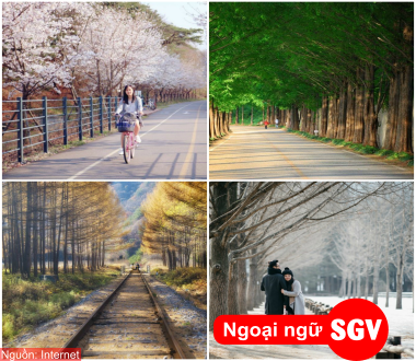 Phong cảnh đẹp như tranh vẽ của hòn đảo Nami Hàn Quốc, SGV