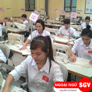 Phụ nữ có nên đi XKLD, ngoại ngữ SGV