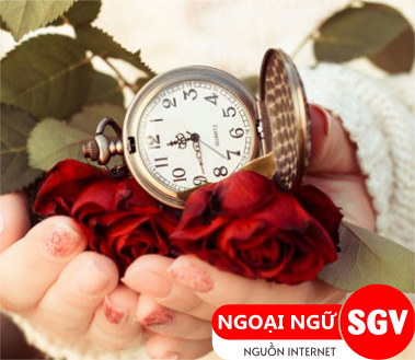 Quý trọng tiếng Nhật là gì, SGV