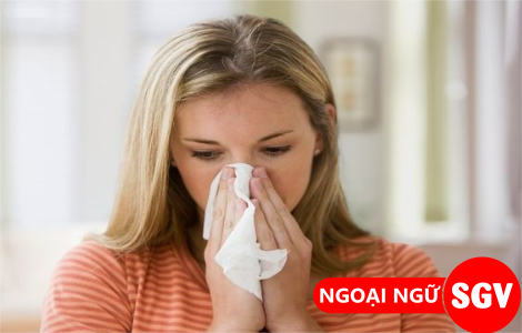 Sinusitis là gì, SGV