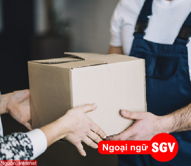 S/O là viết tắt của từ gì trong xuất nhập khẩu, SGV