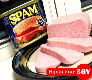 SGV, spam là món gì