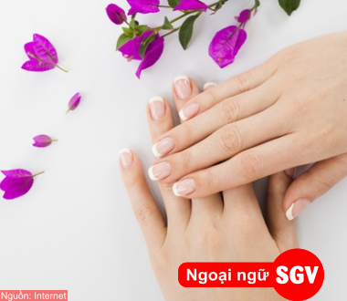 Thu nhập nghề nail ở Việt Nam, SGV