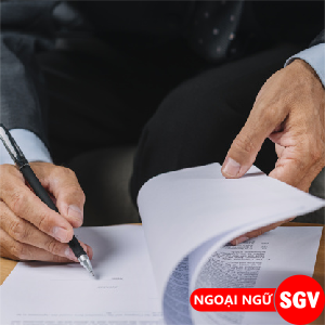 SGV, Thuật ngữ tiếng Trung về chính trị