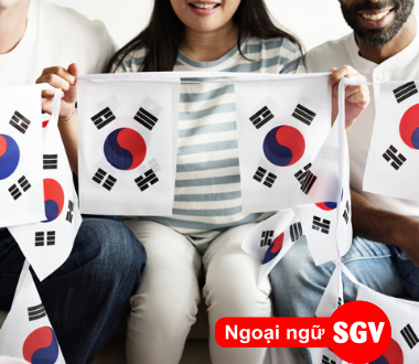 sgv, Tiêu chuẩn XKLĐ Hàn Quốc visa E7