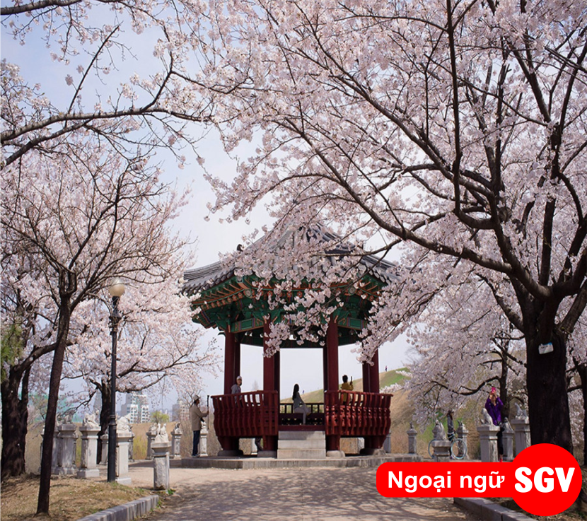 Tìm hiểu về công viên Yeouido ở Seoul, sgv.edu.vn