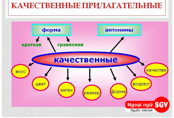 tính từ phẩm chất và tính từ quan hệ trong tiếng Nga là gì