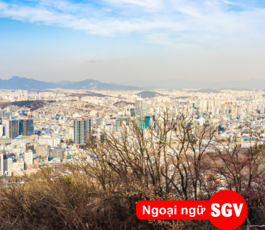 sgv, Tờ khai xin visa Hàn Quốc 2023