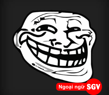 SGV, Troll trên Facebook là gì