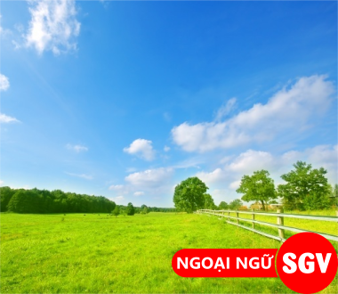 SGV, trong lành tiếng Nhật là gì