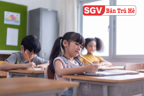 Trung tâm dạy trẻ chuẩn bị vào lớp 1, bán trú hè, trung tâm sgv, học sinh tiểu học, lớp mầm, chồi