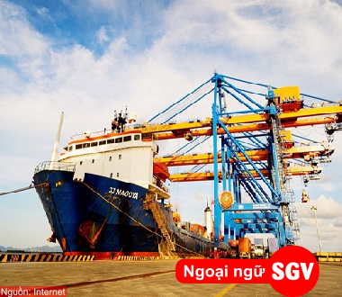 Từ vựng tiếng Anh thương mại ngành xuất nhập khẩu, ngoại ngữ SGV