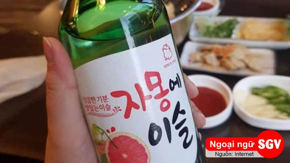 Từ vựng tiếng Hàn về rượu, SGV