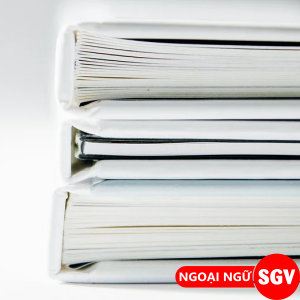 SGV, Văn kiện dự án tiếng Anh là gì