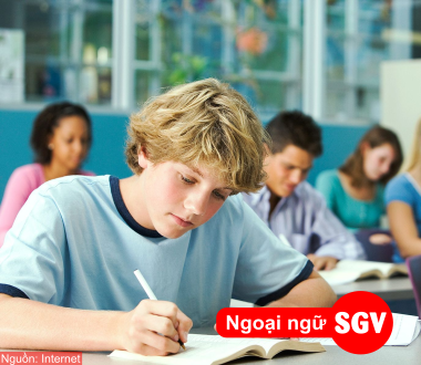 Việc làm cho người có bằng IELTS, SGV