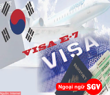 Visa E7 Hàn Quốc, SGV
