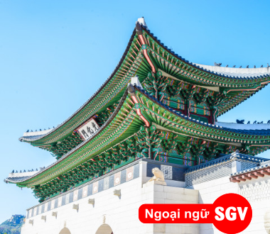 sgv, Visa E7 - 1 Hàn Quốc là gì