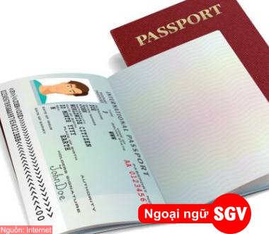 Visa là gì?, SGV