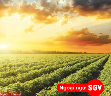 Visa nông nghiệp Úc, SGV