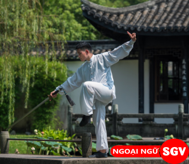 sgv, võ wushu tiếng trung là gì