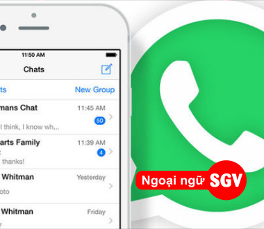 SGV, WhatsApp là gì