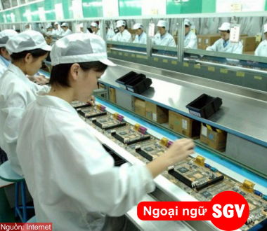 Xuất khẩu lao động Đài loan bao nhiêu tiền?, SGV