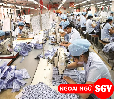 SGV, xưởng may tiếng Nhật là gì